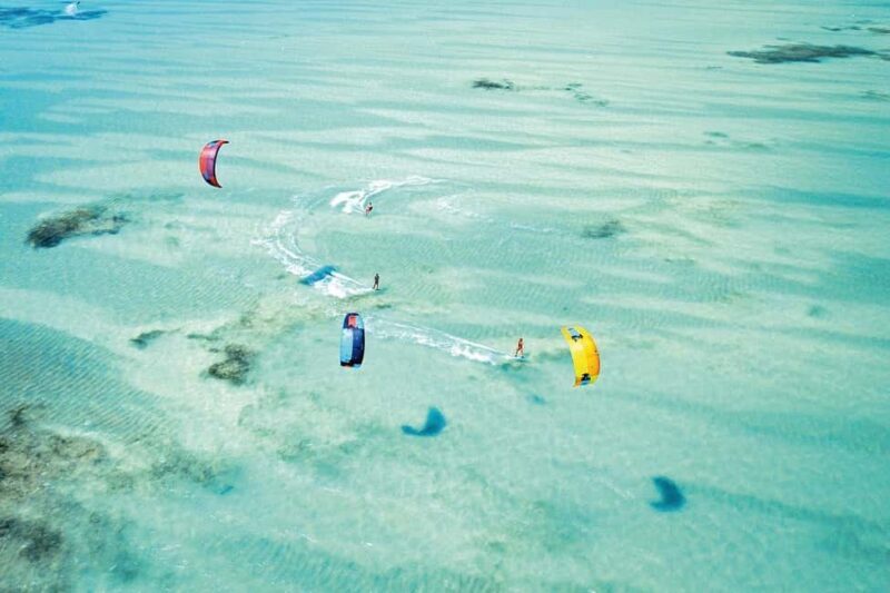 Zanzibar - Dolphin tour & Mnemba from Nungwi or Kendwa - What to Expect from the Zanzibar Dolphin & Mnemba Tour