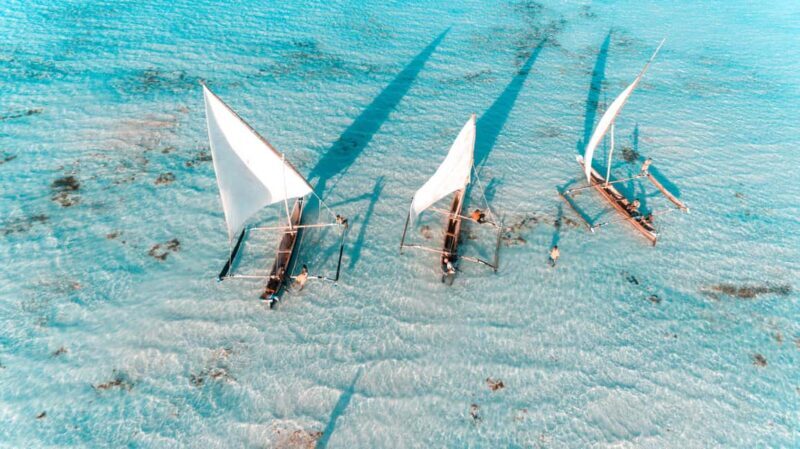 Zanzibar Dolphin tour & Snorkeling at Mnemba reef - Key Points