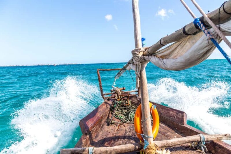 Zanzibar Dolphin tour & Snorkeling at Mnemba reef - Who Will Love This Tour?