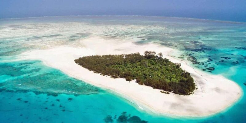 Zanzibar: Dolphin tour with Snorkeling & Old Town Tour - Final Thoughts