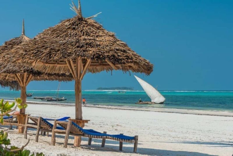 Zanzibar: Dolphin Watching and Snorkeling Tour - Key Points