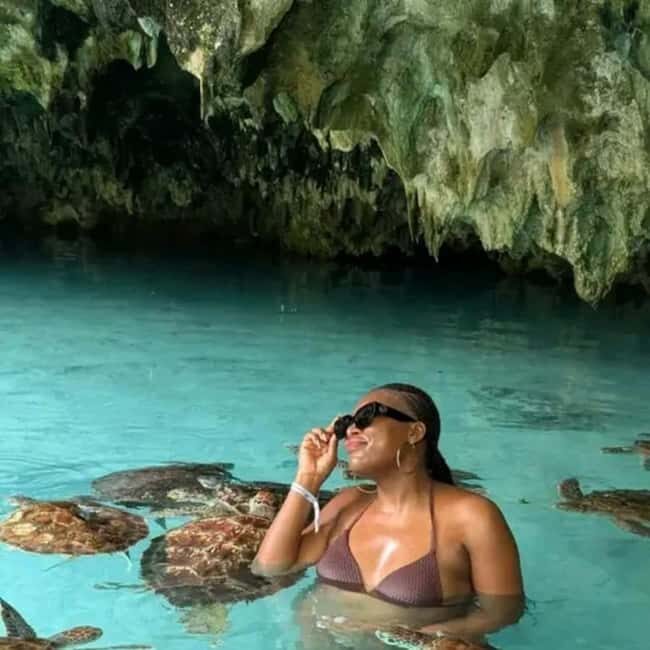 Zanzibar: Dolphins at Mnemba, Turtle Aquarium &Sunset cruise - Key Points