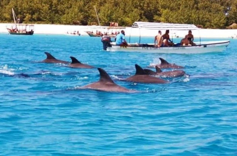 ZANZIBAR: Dolphins tour, Baraka Aquarium & Spice farm - FAQ