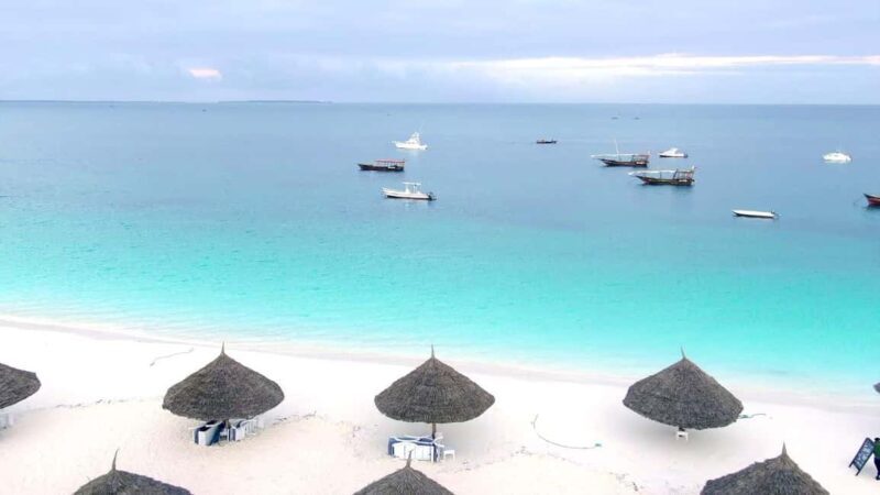 Zanzibar: Dolphins tour, Baraka Aquarium & vist Kendwa Beach - FAQ