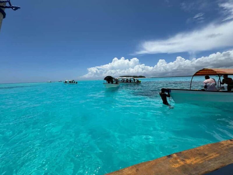 Zanzibar: Dolphins tour, Spice farm & Prison island Day trip - What to Expect from the Zanzibar Day Trip