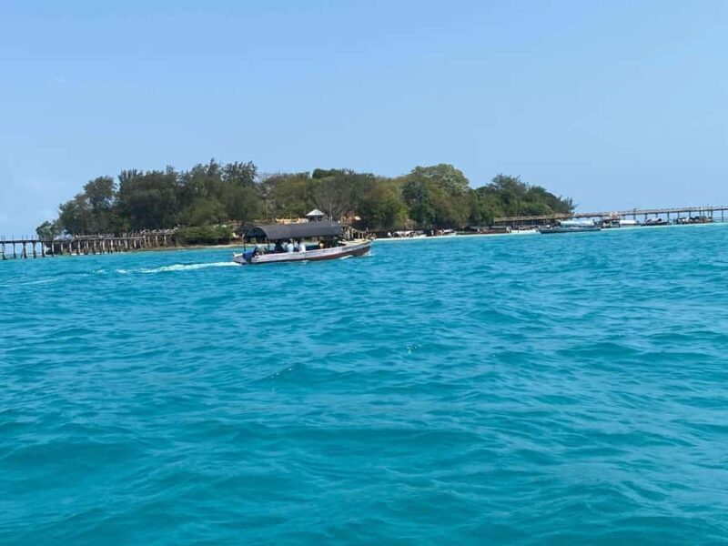 Zanzibar: Dolphins tour, Spice farm & Stone town city tour - Who Will Love This Tour?