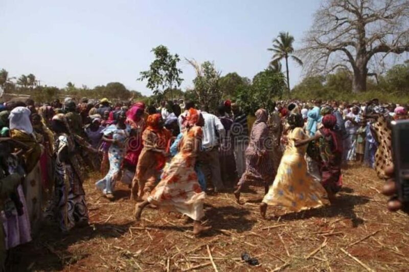 Zanzibar: Experience the Mwaka Kongwa Festival in Makunduchi - What Is the Mwaka Kongwa Festival?  