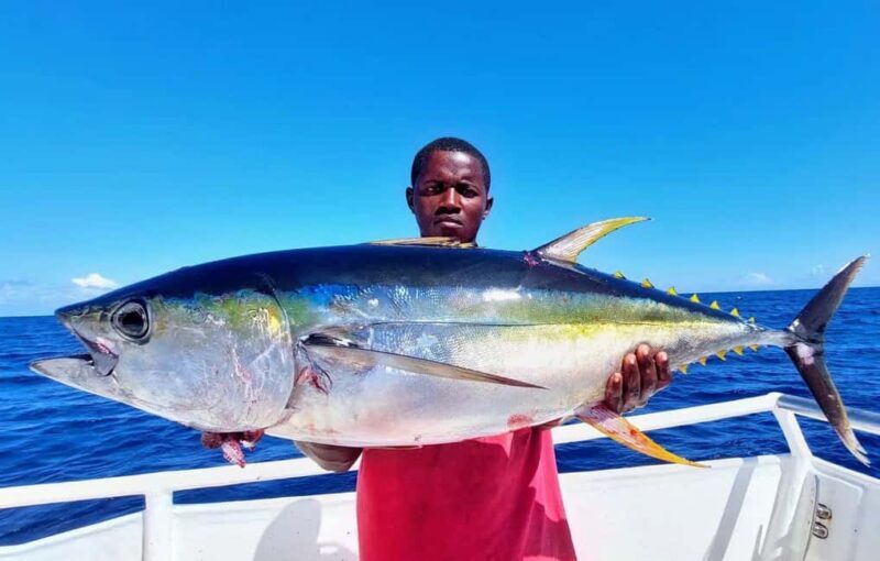 ZANZIBAR FISHING EXPRIENCE - Zanzibar Fishing Experience Review: An Authentic Look into the Indian Ocean Adventure