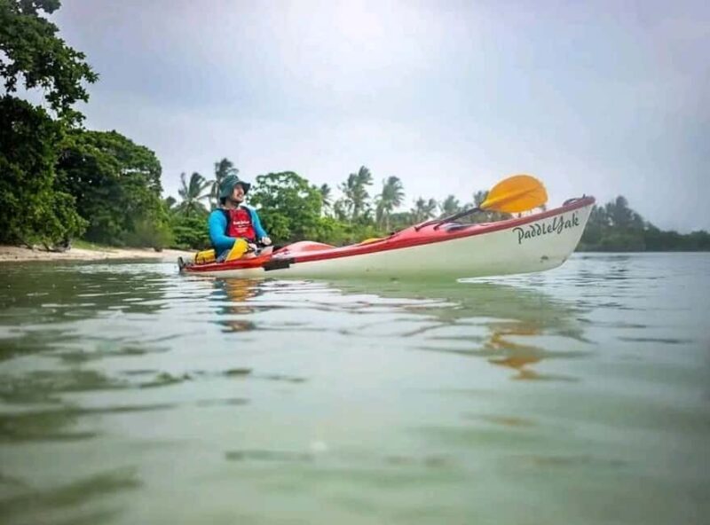 Zanzibar: Flower Garden & Mangroves Kayaking Tour at Uzi. - Key Points