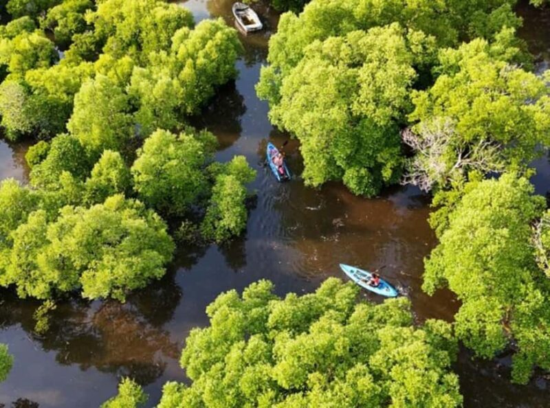 Zanzibar: Flower Garden & Mangroves Kayaking Tour at Uzi. - An Overview of the Tour Experience
