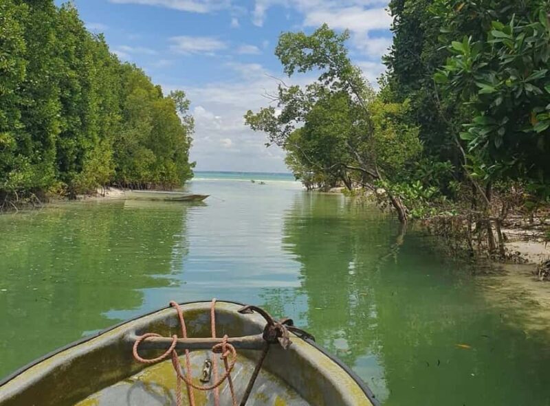 Zanzibar: Flower Garden & Mangroves Kayaking Tour at Uzi. - Kayaking Through Uzi’s Mangroves