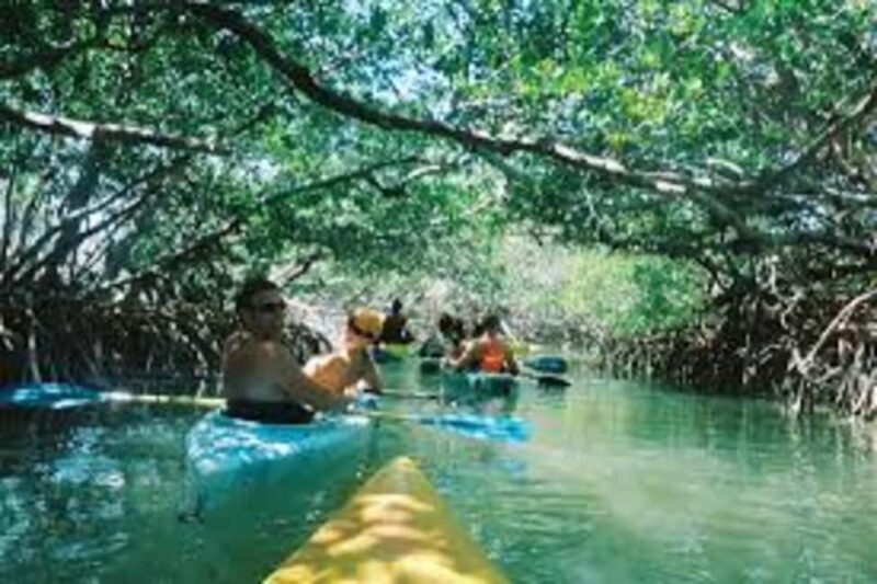 Zanzibar: Full-Day Kayak Adventure Experience - Practical Details That Matter