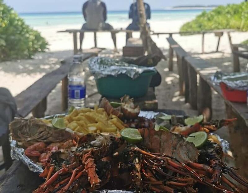 Zanzibar: Full day Kizimkazi Dolphin Tour and Pungume Island - Key Points