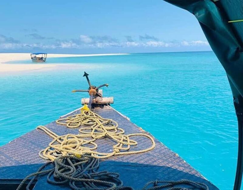 Zanzibar: Full day Kizimkazi Dolphin Tour and Pungume Island - A Closer Look at the Tour Experience