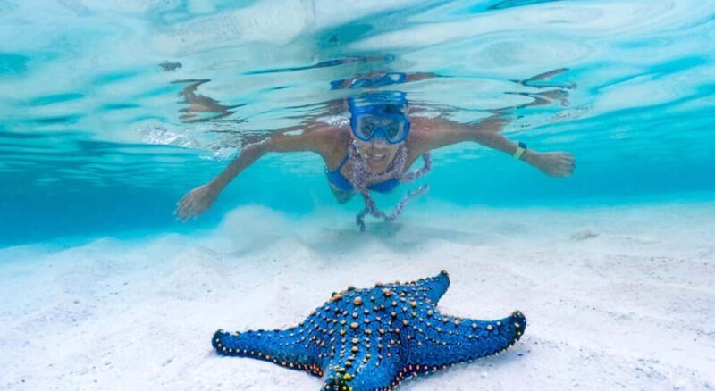 Zanzibar: Full day Kizimkazi Dolphin Tour and Pungume Island - FAQ