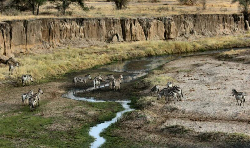 Zanzibar: Group Safari to Tarangire & Ngorongoro Crater - Key Points