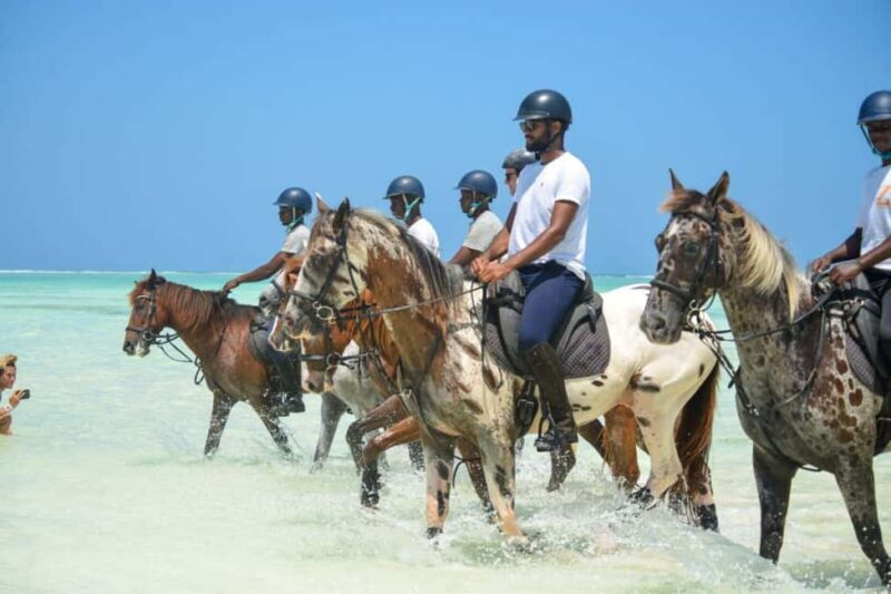 Zanzibar: Half-Day Horseback Riding Adventure with Pickup - An Authentic Way to Explore Zanzibar’s Natural Beauty