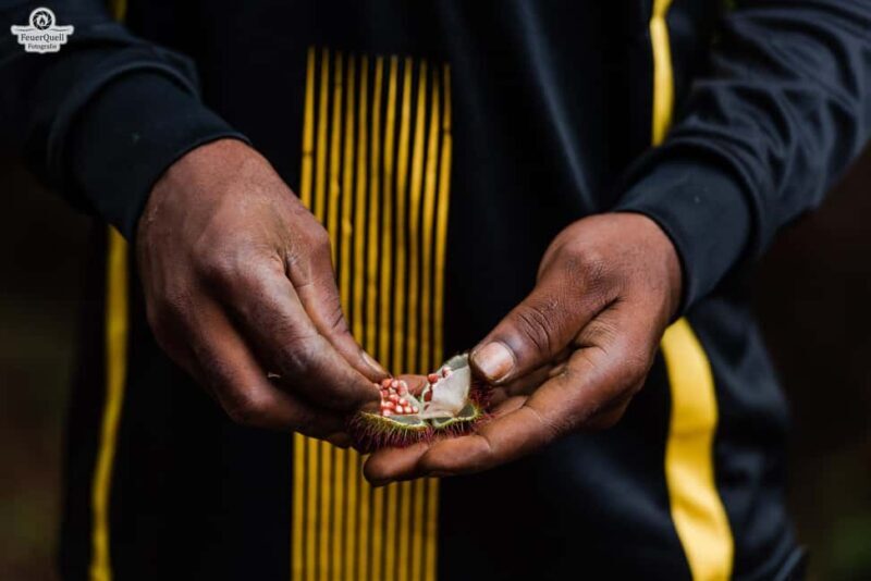 Zanzibar: Half-Day Prison Island, Tortoises and Spices Tour - Introduction