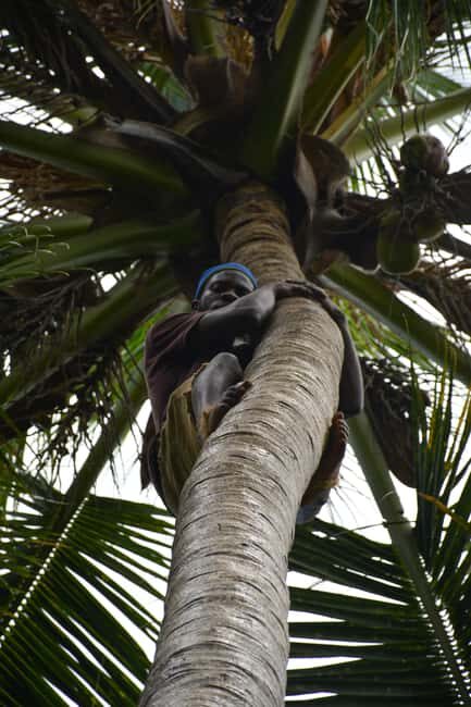 Zanzibar: Half-Day Prison Island, Tortoises and Spices Tour - Frequently Asked Questions