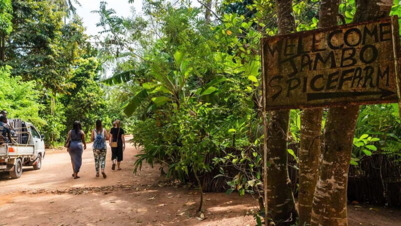 Zanzibar: Half-Day Spice Farm Tour,the flavours of Zanzibar - Key Points