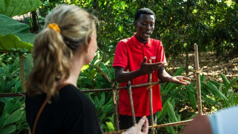 Zanzibar: Half-Day Spice Farm Tour,the flavours of Zanzibar - What to Expect from the Spice Farm Tour