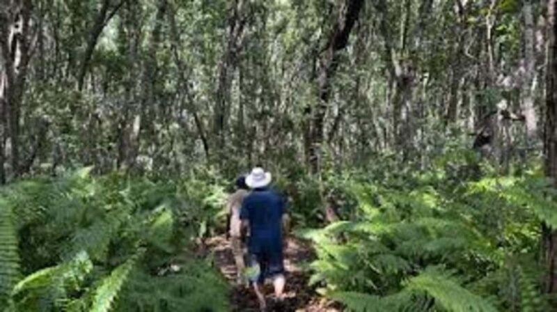 Zanzibar: Half-Day Village Spice Farm Tour with Local Guide - The Sum Up