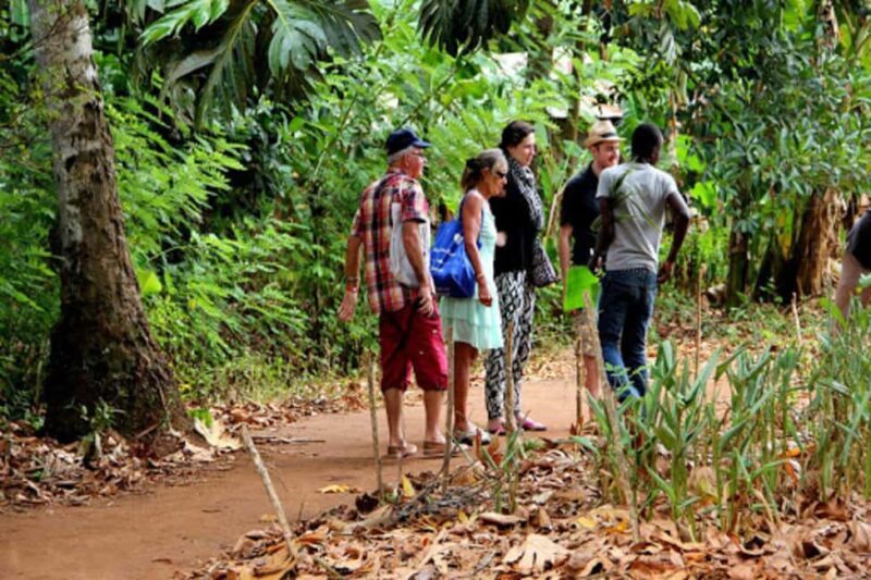 Zanzibar Heritage & Flavors: Stone Town Tour & Spice Farm - Practical Details and Logistics