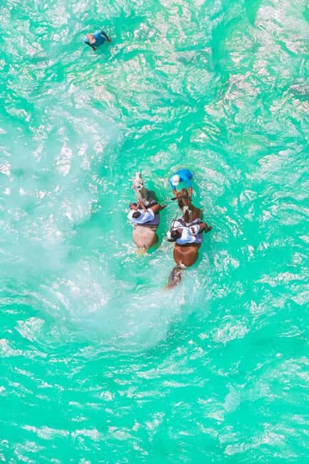 Zanzibar: Horse Riding and Kayaking with Video and Photos - Final Thoughts