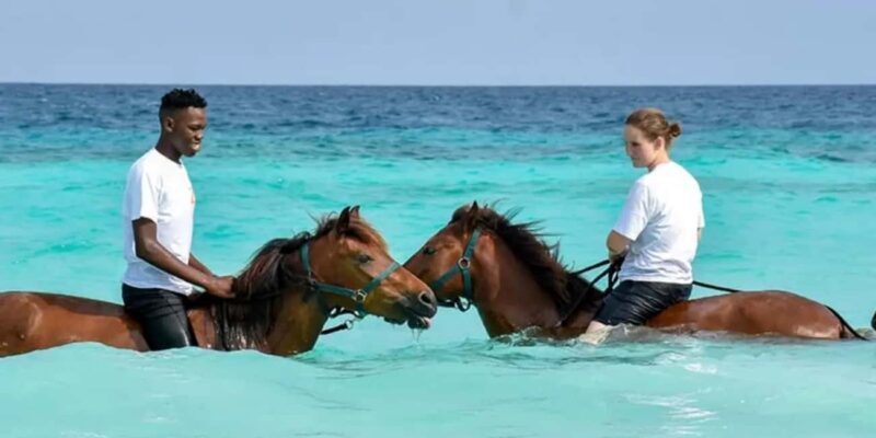 Zanzibar Horseback Riding - Key Points