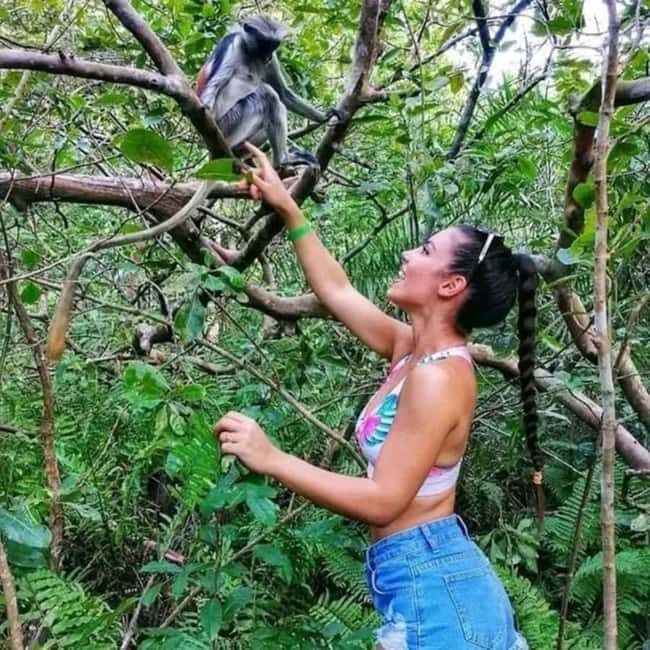 Zanzibar: Into the Wild-Red Colobus Safari in Jozani Forest - Who Will Love This Tour?