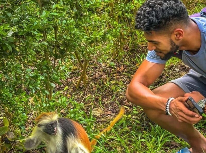 Zanzibar: Into the Wild-Red Colobus Safari in Jozani Forest - The Sum Up