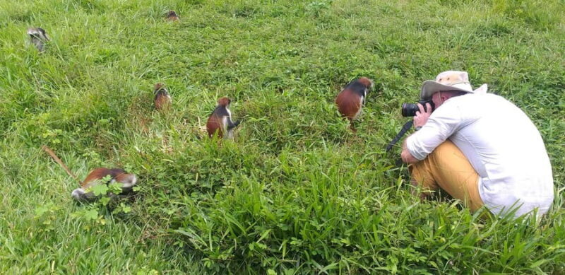 Zanzibar: Jozani Chwaka Bay National Park and Spice Farm - A Detailed Look at the Experience