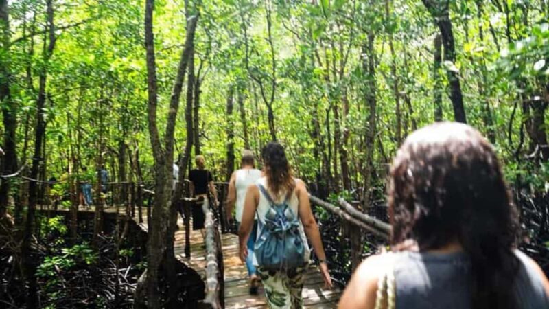 Zanzibar: Jozani Chwaka Bay Park Private Tour with Guide - Key Points