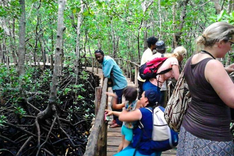 Zanzibar: Jozani Forest and Salaam cave Tour - Practical Details and Tips