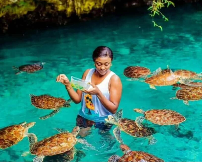 Zanzibar: Jozani Forest and Salaam Cave Tour - Key Points
