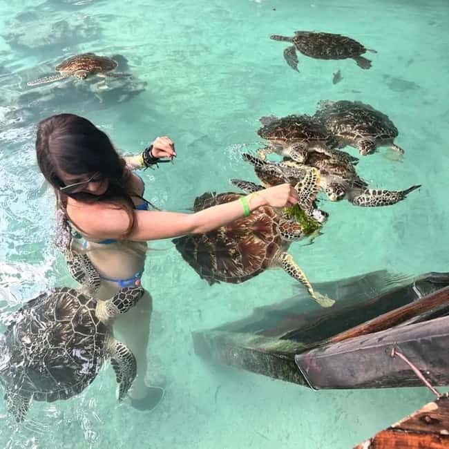 Zanzibar: Jozani Forest and Salaam Cave Tour - Key Points