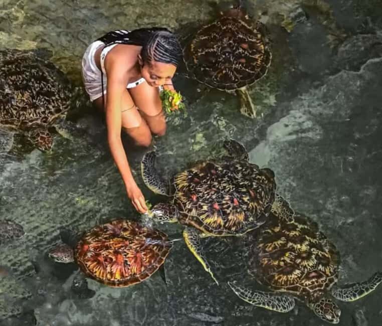 Zanzibar: Jozani Forest and Salaam Cave Tour - Exploring Zanzibars Natural Treasures