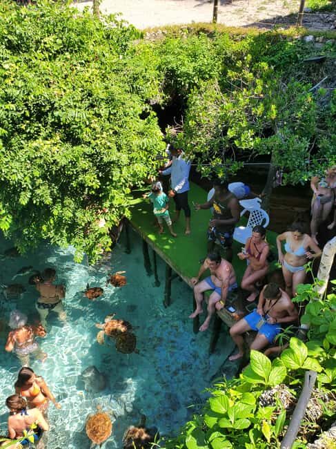 Zanzibar: Jozani forest and Salaam cave tour with turtles - The Sum Up