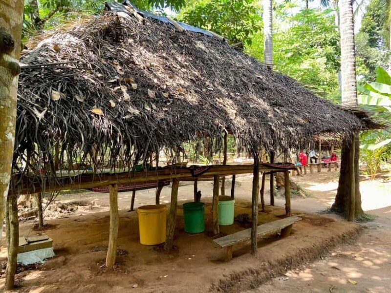 Zanzibar: Jozani forest and Spice farm tour - Introduction