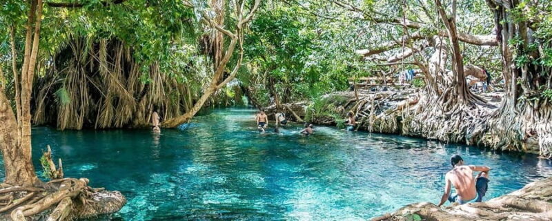 Zanzibar: Jozani Forest and Spice Farm Tour with Transfer - Key Points