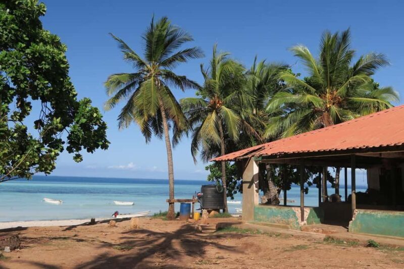 Zanzibar: Jozani Forest and Spice Farm Tour with Transfer - Culinary and Cultural Highlights