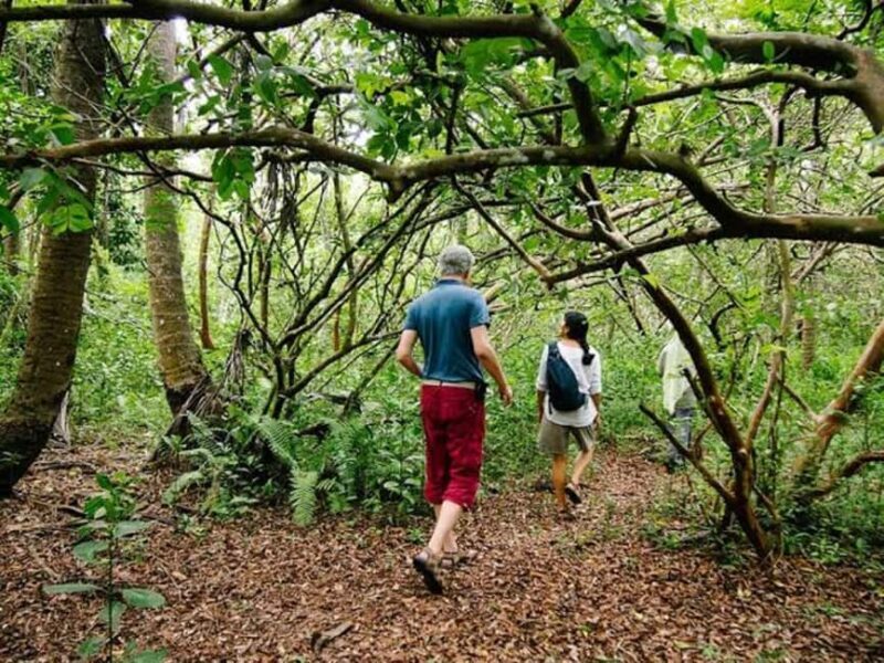 ZANZIBAR: Jozani forest and Spice farm with cooking class - Key Points