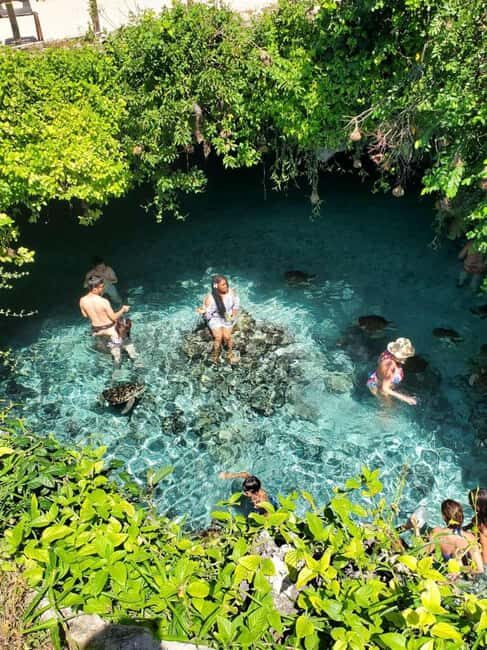 ZANZIBAR: Jozani Forest and Turtle Sanctuary Tour - Exploring Jozani Chwaka Bay National Park