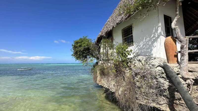 Zanzibar: Jozani forest, Blue Lagoon, Starfish & The Rock - Exploring Zanzibar with a Guided Touch