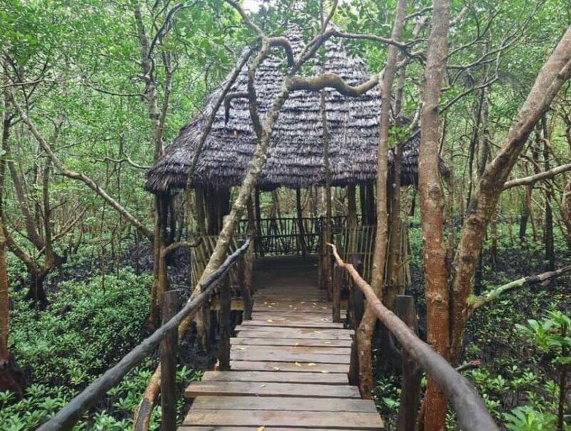 Zanzibar: Jozani forest, Blue Lagoon, Starfish & The Rock - Final Thoughts