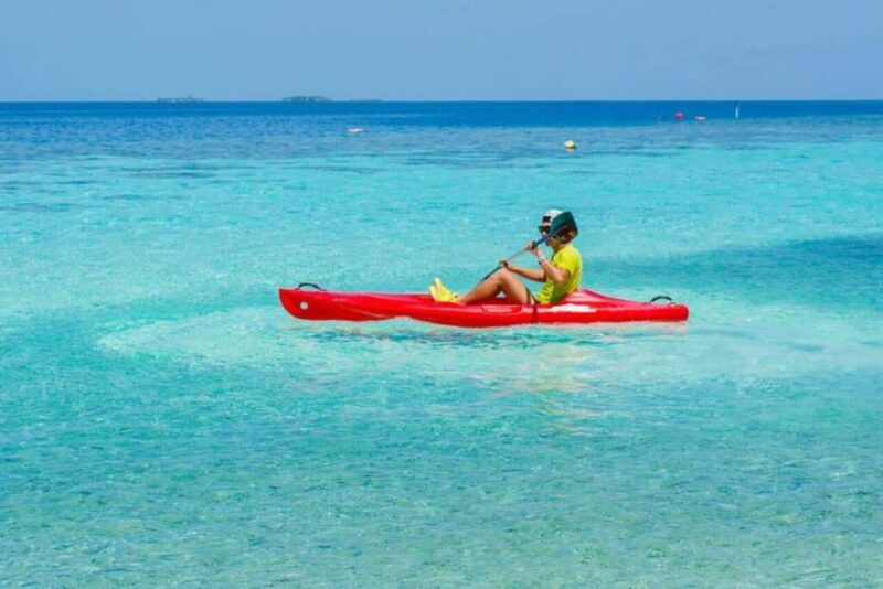 Zanzibar: Jozani Forest, Butterfly and Mangrove Kayaking - FAQ
