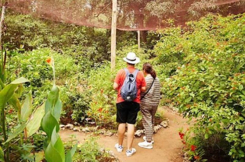 Zanzibar: Jozani forest, Butterfly center and Mtende beach - Key Points
