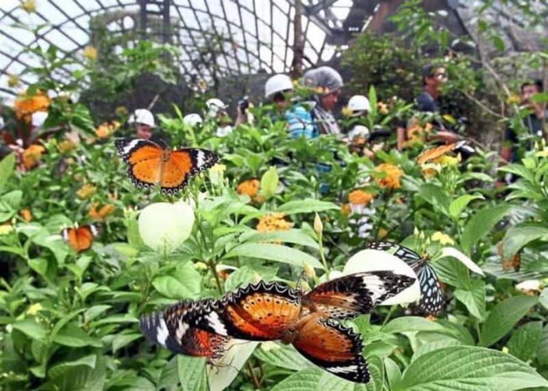 Zanzibar: Jozani forest, Butterfly center and Mtende beach - What’s Included and What to Bring