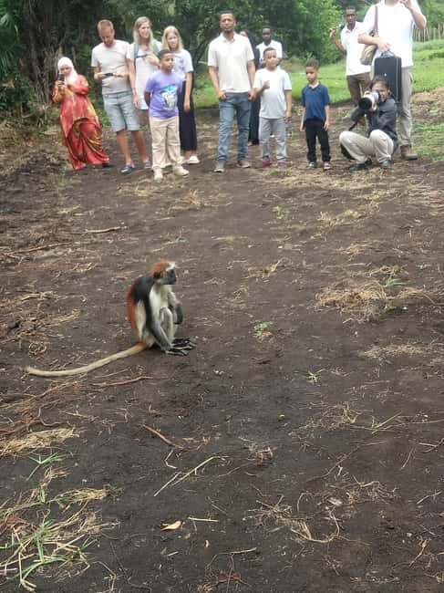 Zanzibar: Jozani forest, Butterfly center and Mtende beach - Timing and Group Size