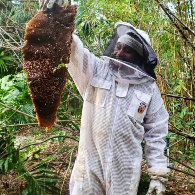 Zanzibar: Jozani Forest, Butterfly Center, & Beekeeping Tour - Starting at the Zanzibar Butterfly Centre